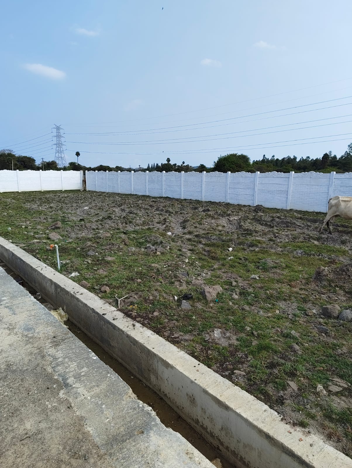 Property project