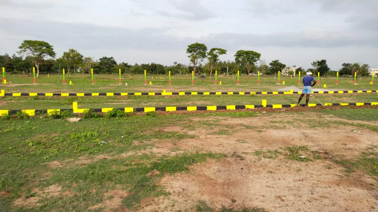 Project landscape
