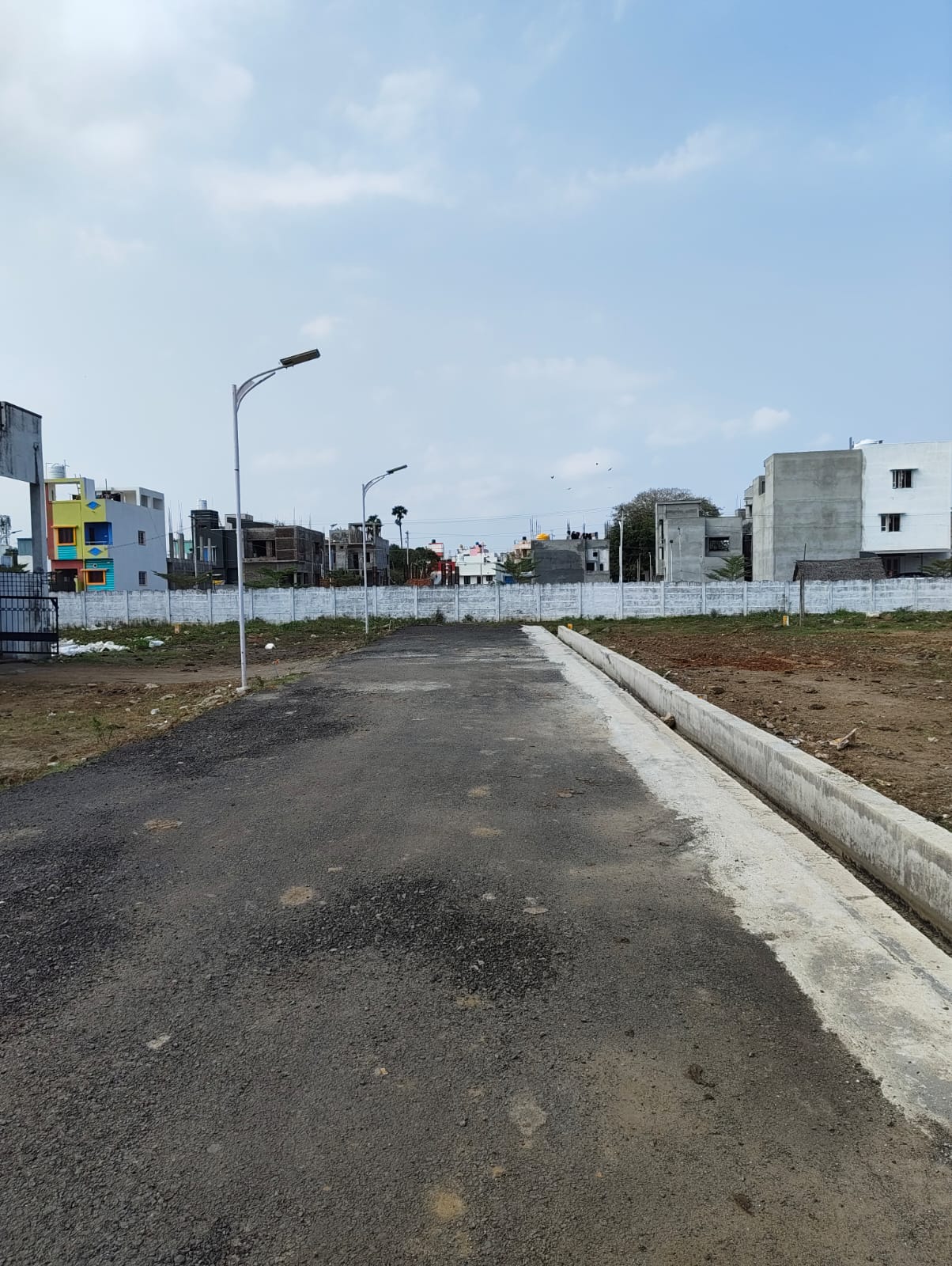 Project landscape