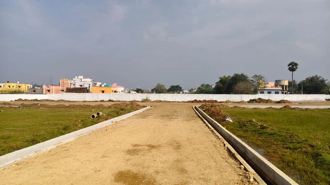 Project landscape